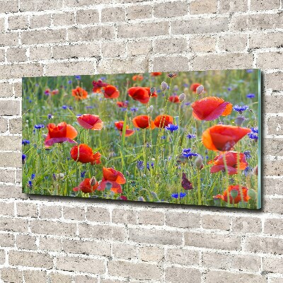 Acrylique tableau Fleurs des champs