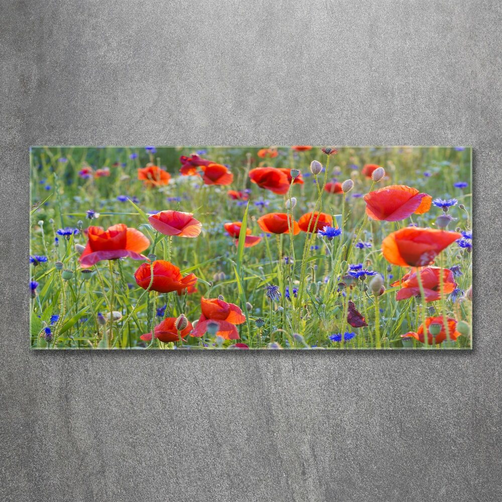 Acrylique tableau Fleurs des champs