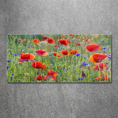 Acrylique tableau Fleurs des champs