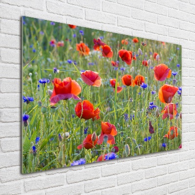 Acrylique tableau Fleurs des champs