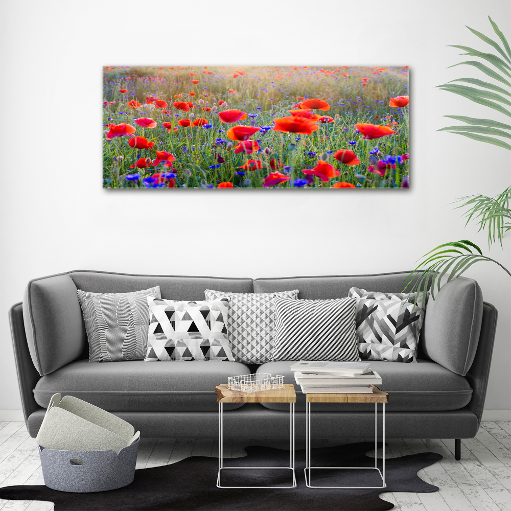 Tableau acrylique Fleurs de champ