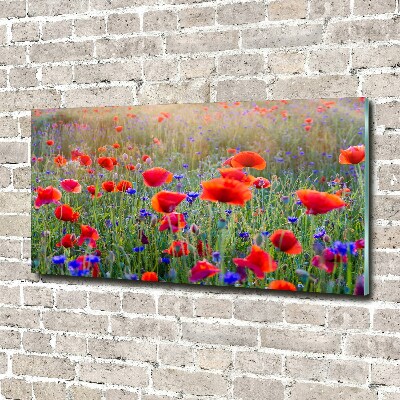 Tableau acrylique Fleurs de champ