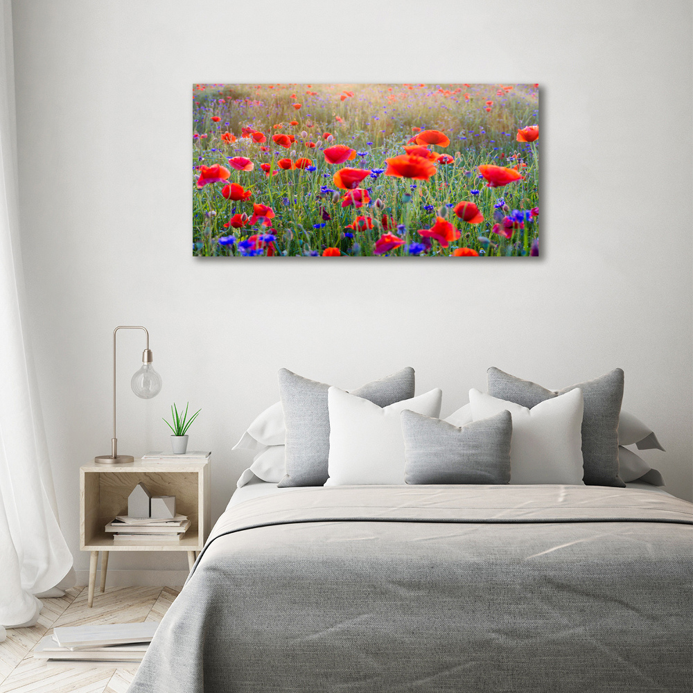 Tableau acrylique Fleurs de champ