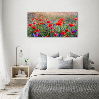 Tableau acrylique Fleurs de champ