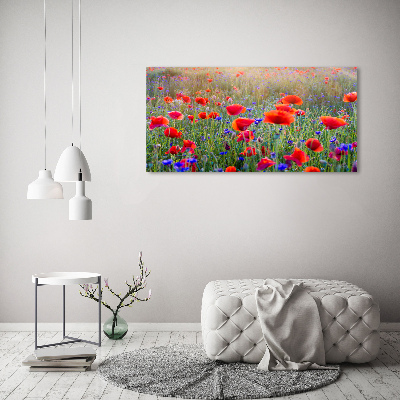 Tableau acrylique Fleurs de champ