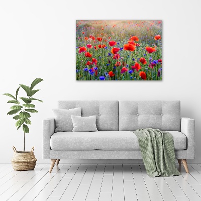 Tableau acrylique Fleurs de champ