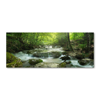 Tableau acrylique Cascade en forêt