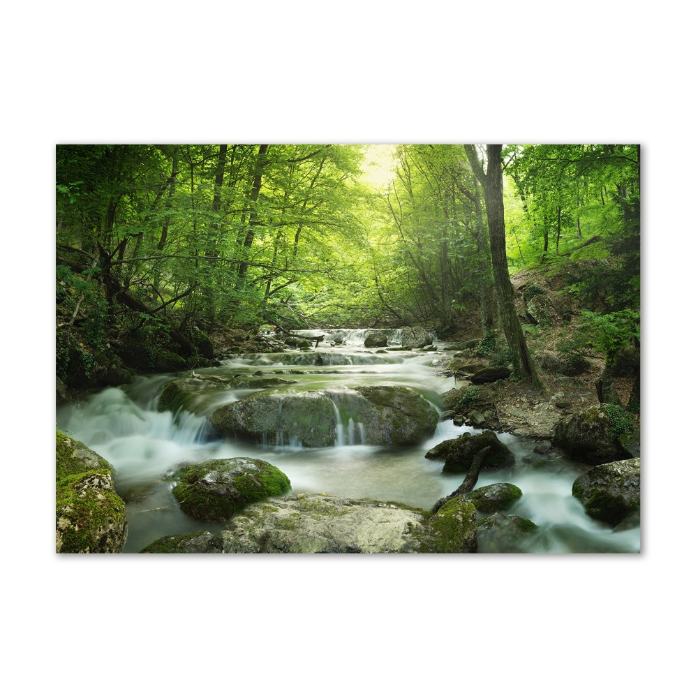 Tableau acrylique Cascade en forêt