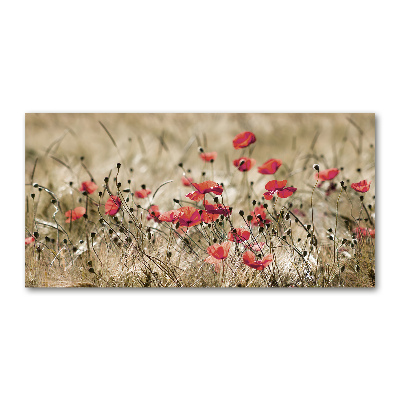 Tableau sur verre acrylique Coquelicots