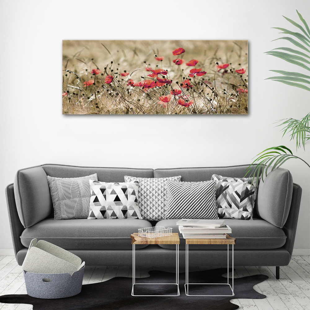 Tableau sur verre acrylique Coquelicots