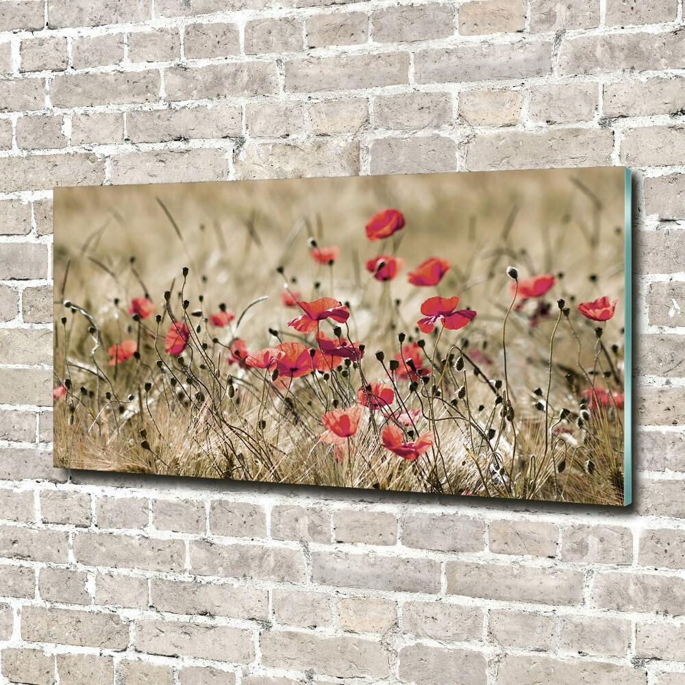 Tableau sur verre acrylique Coquelicots