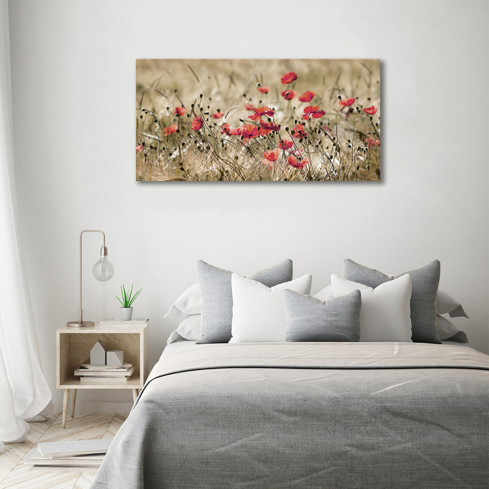 Tableau sur verre acrylique Coquelicots