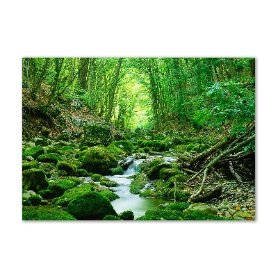 Tableau verre acrylique Ruisseau dans la forêt