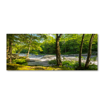 Tableau sur verre acrylique Rivière dans la forêt