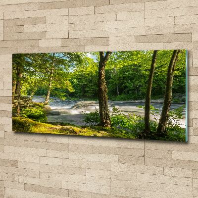 Tableau sur verre acrylique Rivière dans la forêt