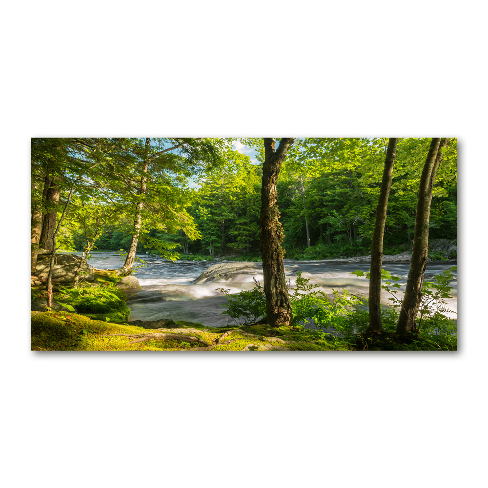 Tableau sur verre acrylique Rivière dans la forêt