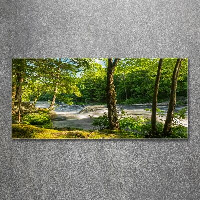 Tableau sur verre acrylique Rivière dans la forêt