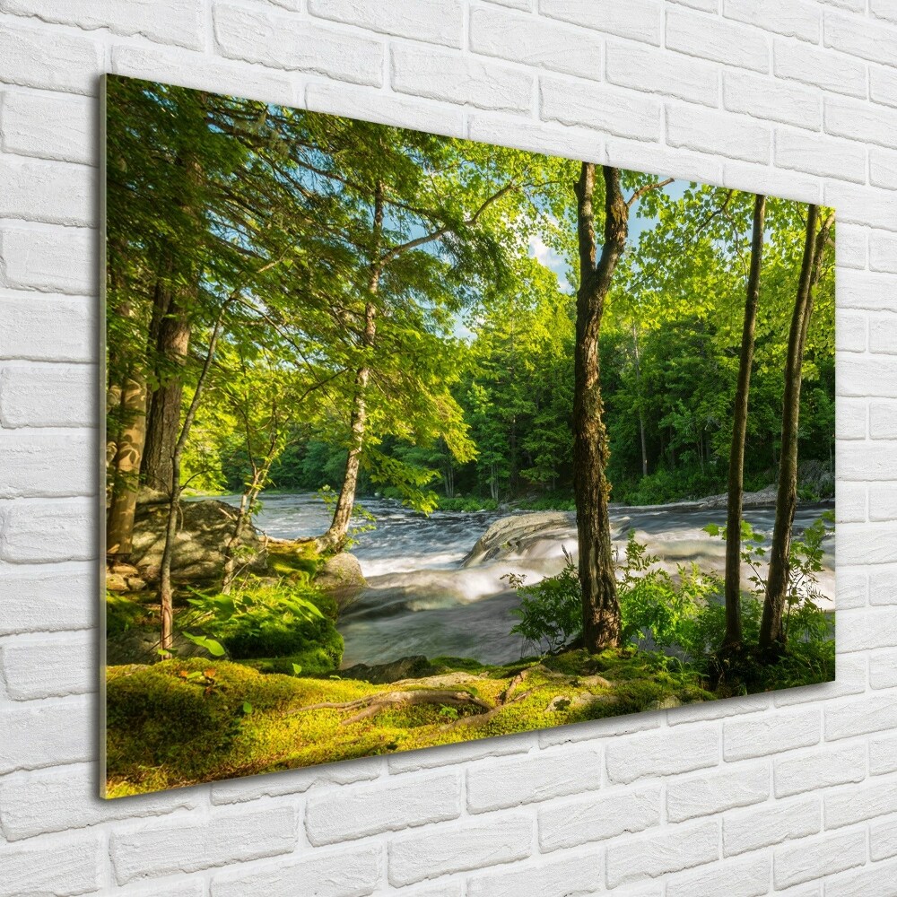 Tableau sur verre acrylique Rivière dans la forêt