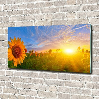 Tableau sur verre acrylique Champ de tournesols