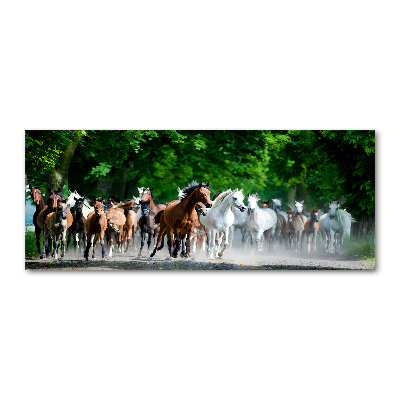 Acrylique tableau Chevaux au galop