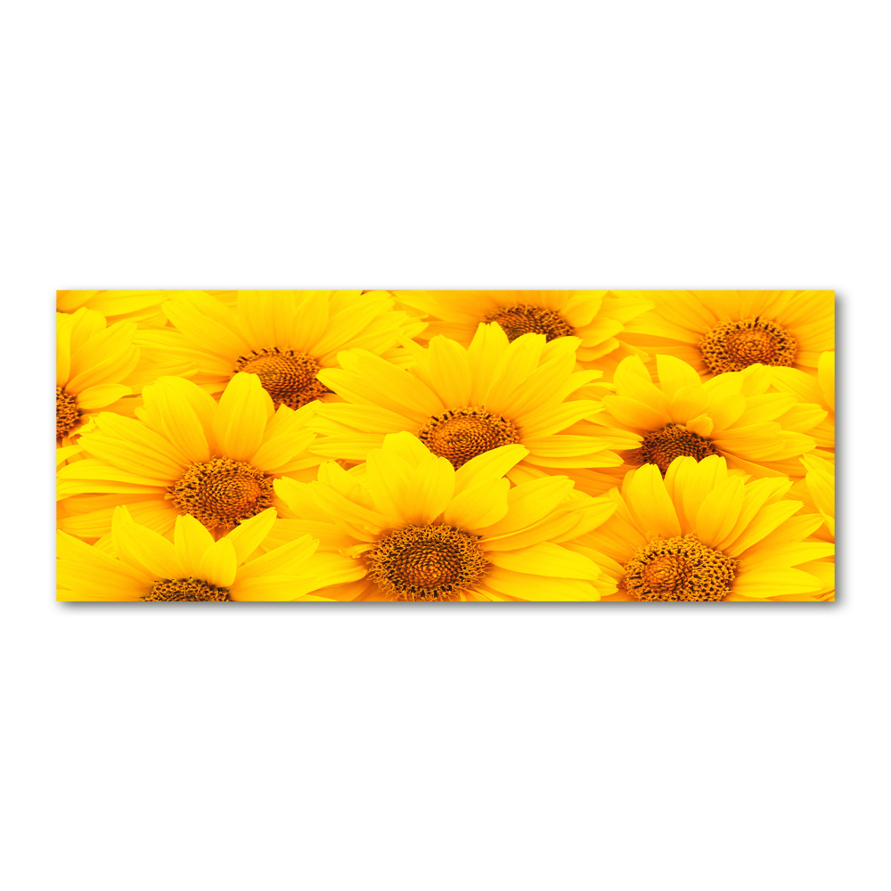 Acrylique tableau Tournesol