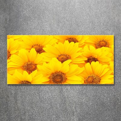 Acrylique tableau Tournesol