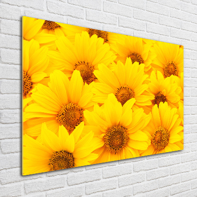 Acrylique tableau Tournesol