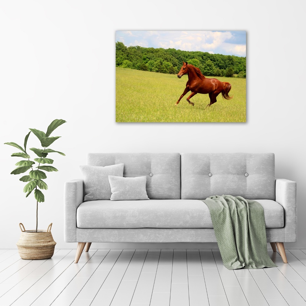 Acrylique tableau Cheval dans un pré