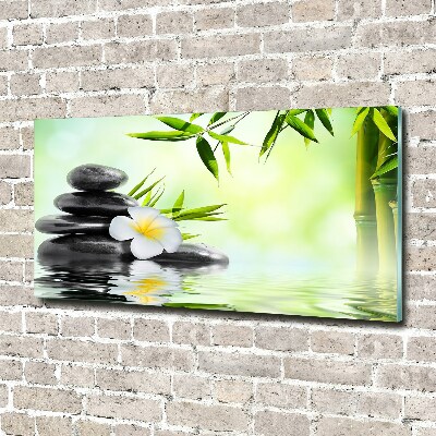 Tableau sur verre acrylique Plumeria et bambou