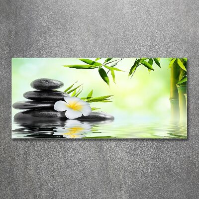 Tableau sur verre acrylique Plumeria et bambou