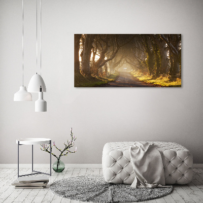 Tableau verre acrylique Brume dans la forêt