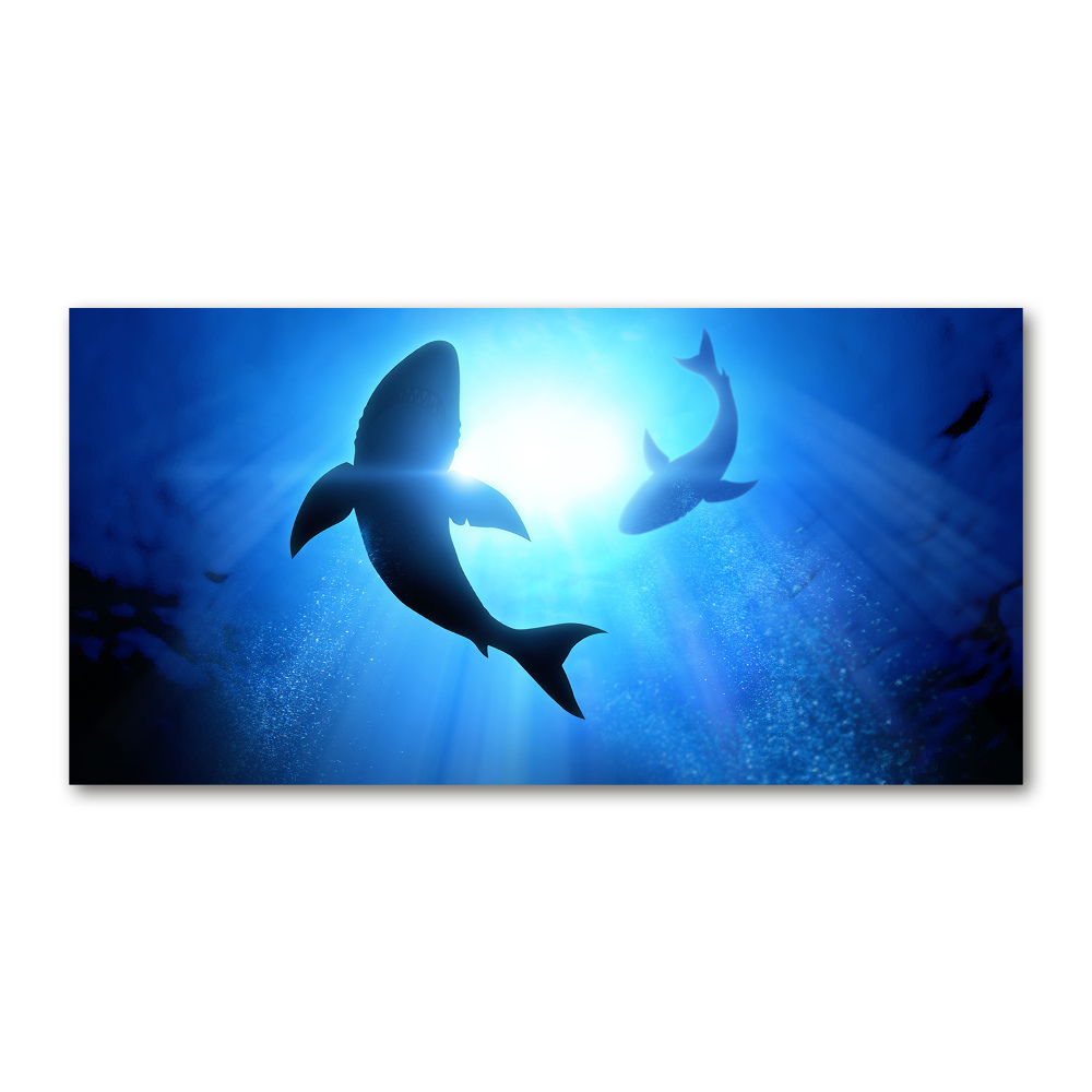 Acrylique tableau Deux requins