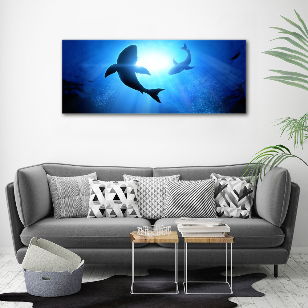 Acrylique tableau Deux requins