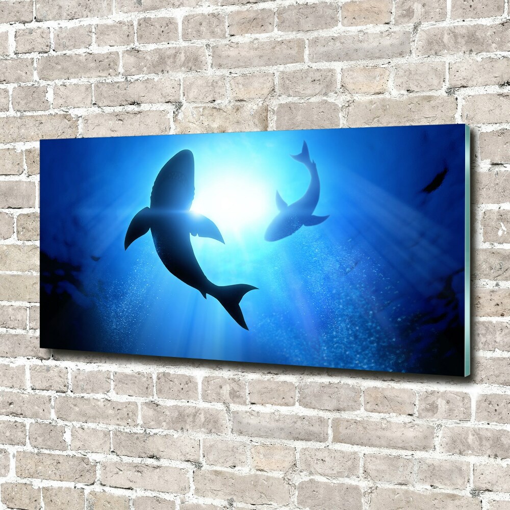 Acrylique tableau Deux requins