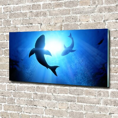 Acrylique tableau Deux requins