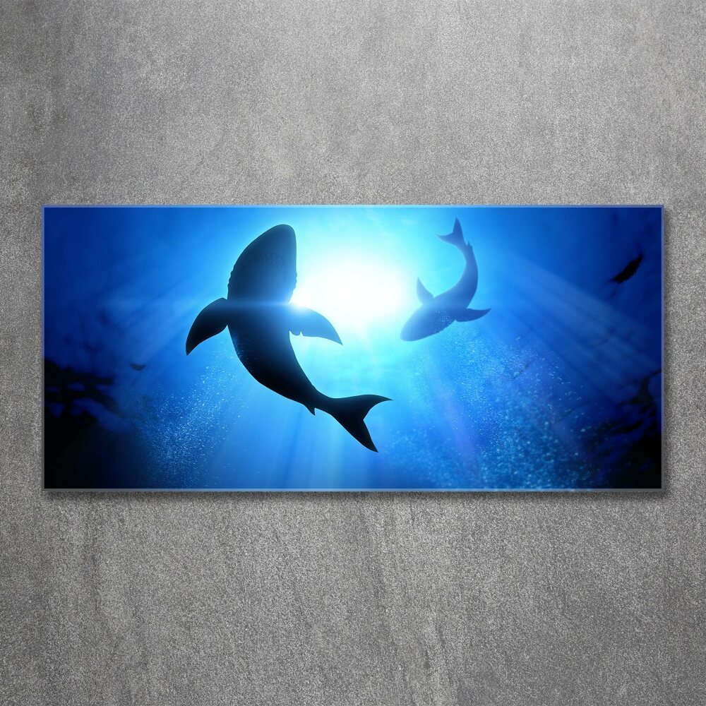 Acrylique tableau Deux requins