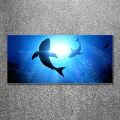 Acrylique tableau Deux requins