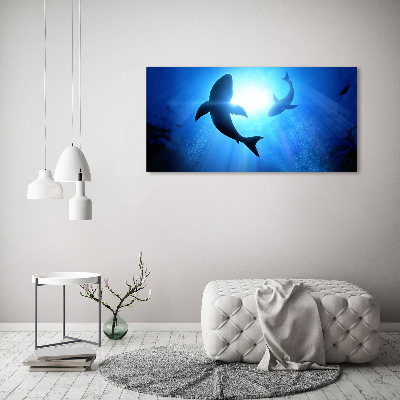 Acrylique tableau Deux requins