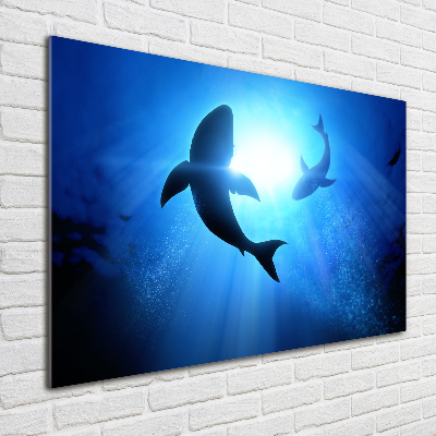 Acrylique tableau Deux requins