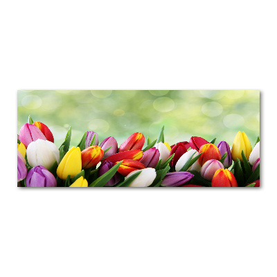 Tableau acrylique Tulipes colorées