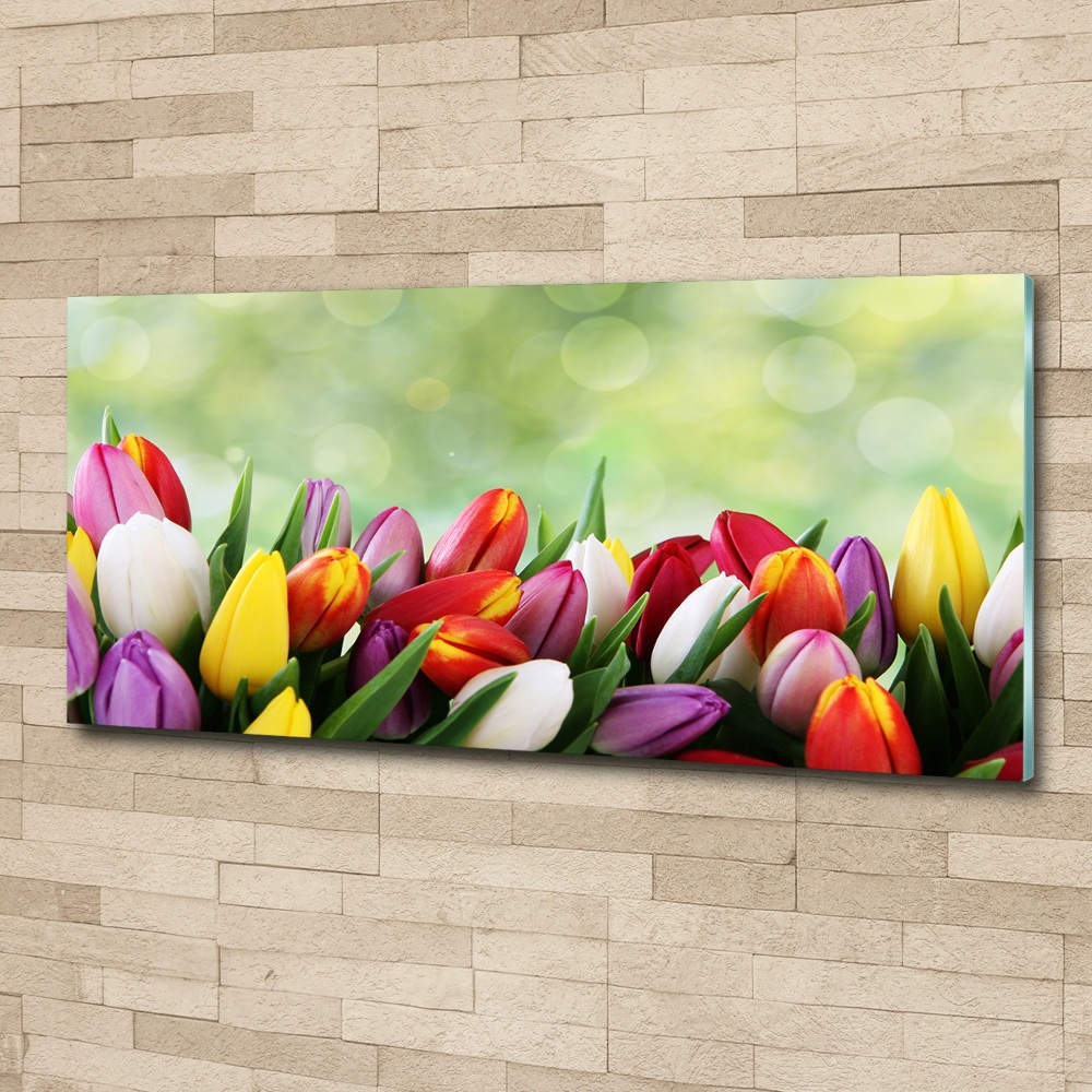 Tableau acrylique Tulipes colorées