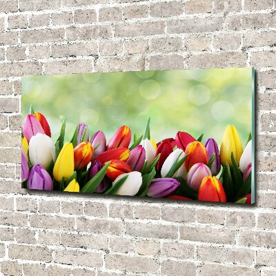 Tableau acrylique Tulipes colorées