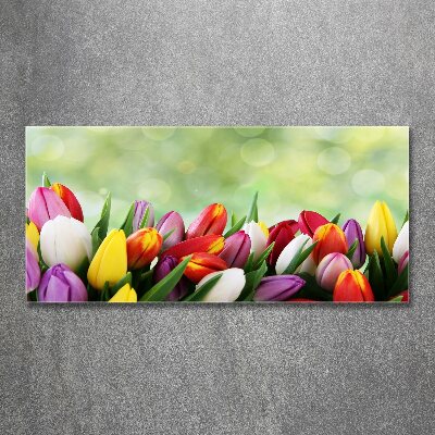 Tableau acrylique Tulipes colorées