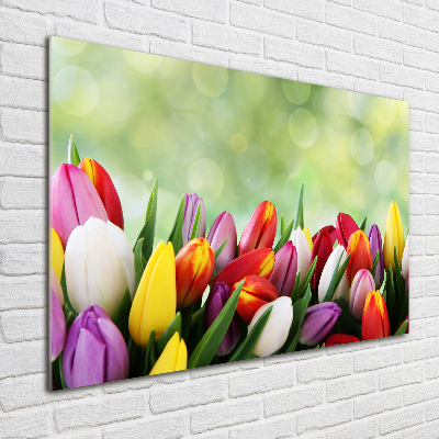 Tableau acrylique Tulipes colorées