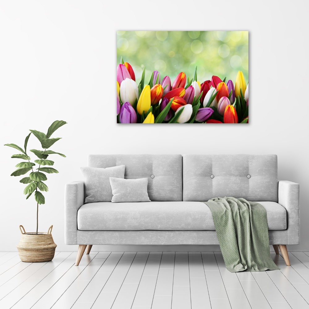 Tableau acrylique Tulipes colorées