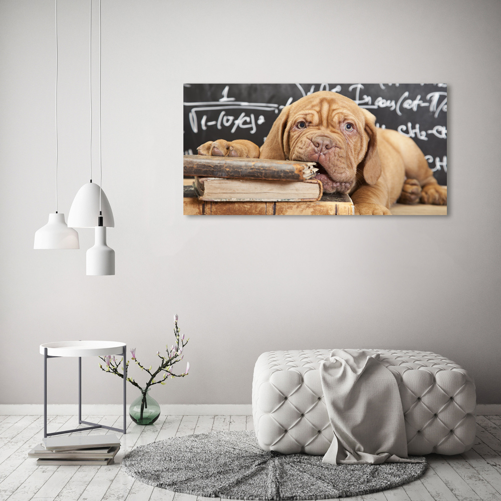 Acrylique tableau Livre sur les morsures de chien