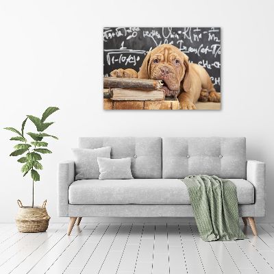 Acrylique tableau Livre sur les morsures de chien