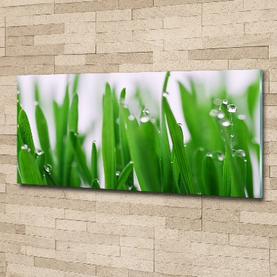 Tableau acrylique Tiges d'herbe