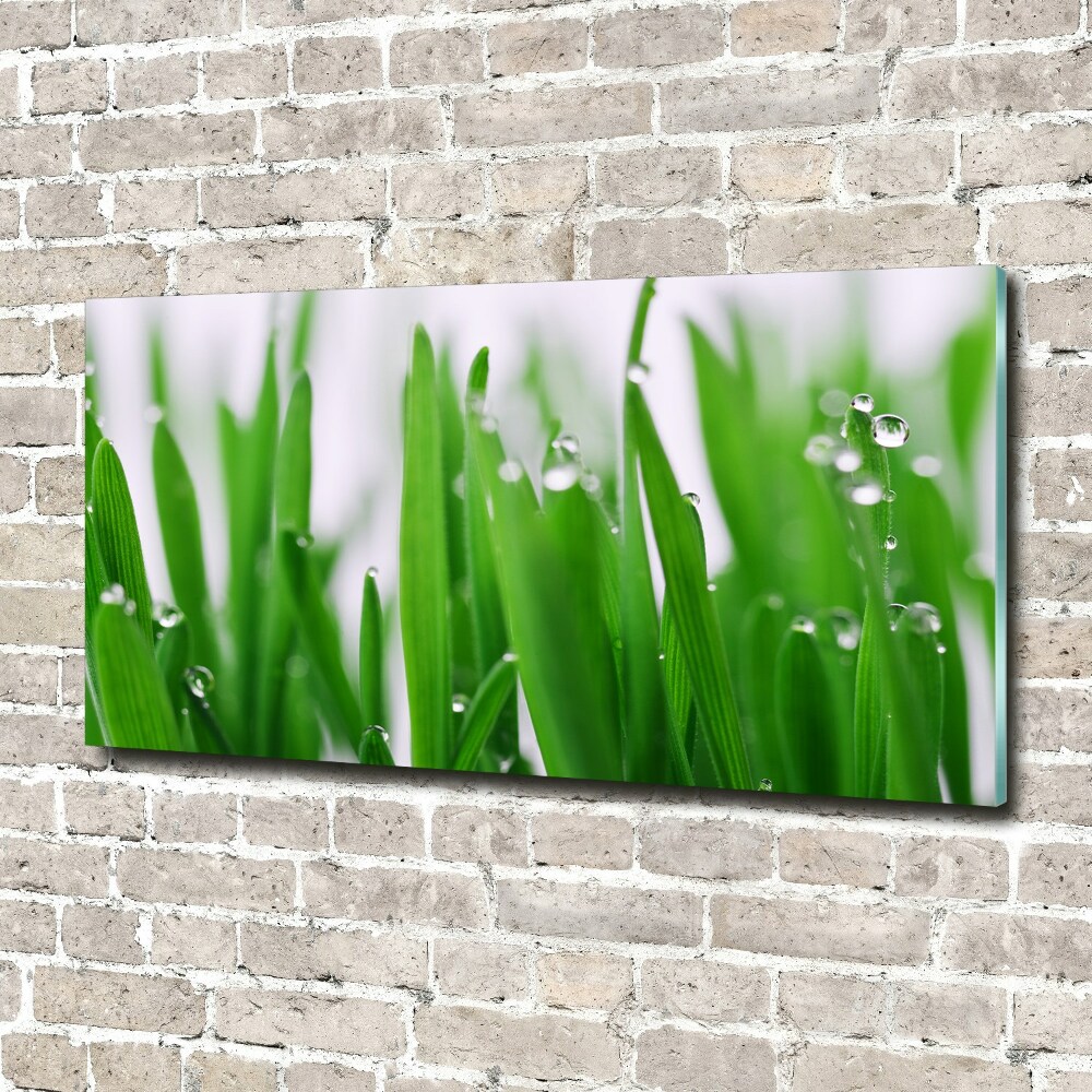 Tableau acrylique Tiges d'herbe