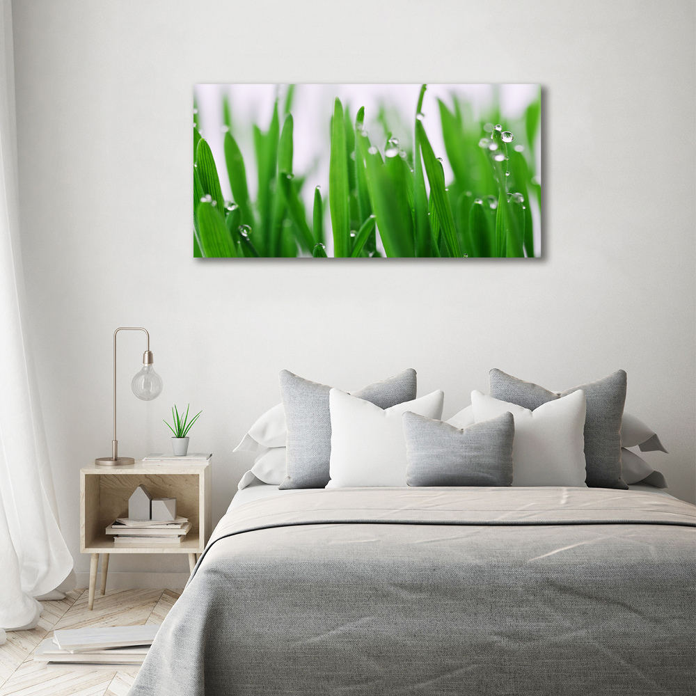 Tableau acrylique Tiges d'herbe